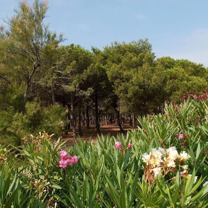 T2 Vue Mer Palm Beach 르발카레스 외부 사진